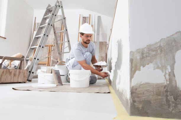 Best Repainting for Renovations  in USA